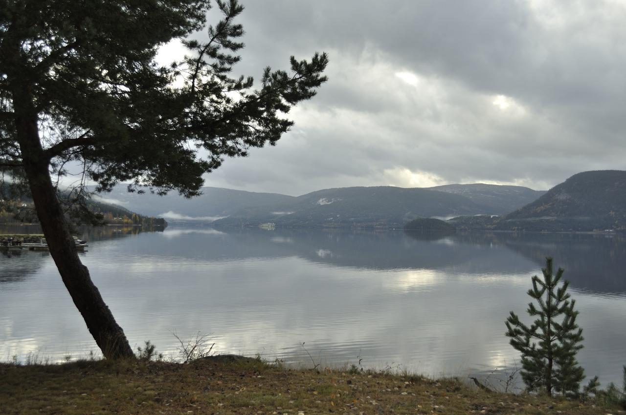 Fyresdal Gjestehus Moland Exterior photo